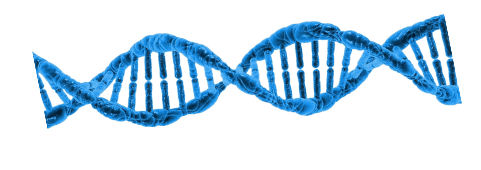 11-removebg-preview (1) 11 removebg preview 1